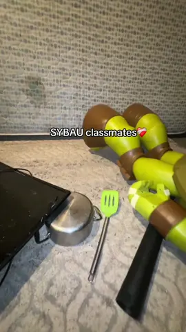 SYBAU classmates❤️‍🩹#sybau 