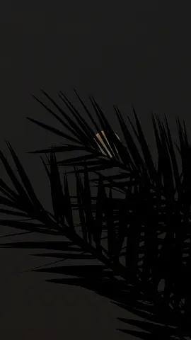 قمرا 📸                                                             #بدر_بن_عبدالمحسن 