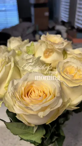 amigas, it’s been a while. let’s get back into my morning routine together 🫶🏼 who are your youtube comfort creators? i’ve been starting my mornings with @Blanca J Soto 🤍 @Saie  @NARS Cosmetics @Maybelline NY  @Huda Beauty  @e.l.f. Cosmetics @HYDROJUG  #dayinmylife #morningvlog #grwm #dailyvlogs #latinacontentcreator  