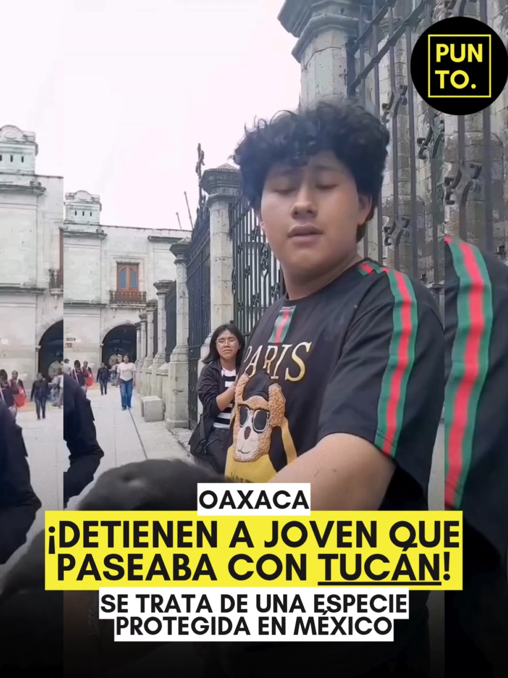 🦜🚨 ¡INSÓLITO EN #OAXACA! 😱 JOVEN DETENIDO POR PASEAR CON UN #TUCÁN 🇲🇽 Un joven fue detenido en el Centro de Oaxaca tras ser visto paseando con un #tucán real por la calle Valerio Trujano. 😮 Aunque dijo tener permiso, fue retenido para verificar los documentos. El tucán real es una especie #protegida, y poseer #fauna silvestre sin autorización es #delito federal. ⚖️🪶 La #PROFEPA ya investiga el caso. 🕵️‍♀️