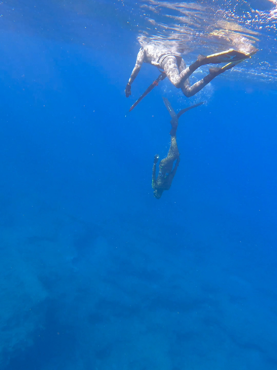 #ليبيا #غطس #غطاسين_ليبيا #spearfishing #freediving 