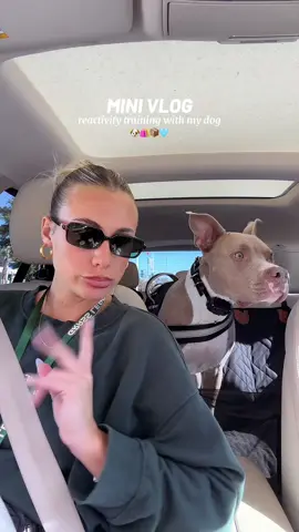 today was a success🫶🏼 #reactivedogtraining #pittiesoftiktok #pitty 