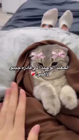 الحفيد الوحيد الي قادره جبيو لأهلي... 🤣🤣🤣#fyp #foryoupage #foryou #fyp #foryou 