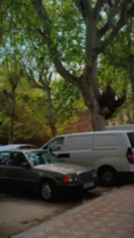 Tlemcen 🫶🏻🌺 #tlemceni__13 #algerie🇩🇿 #nature #fy #ghorba🗼🇫🇷👻🇪🇺🇪🇸 