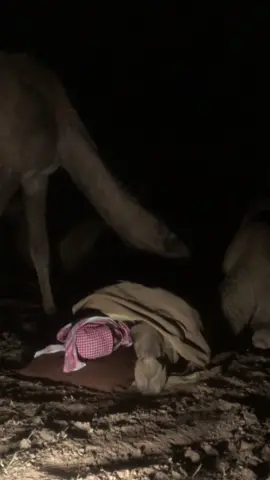 عشاني ساحب عليها هبدتني 😅 #explore #اكسبلور #الرياض 