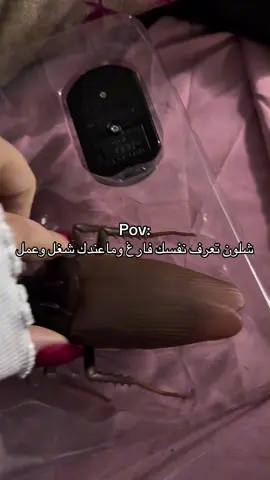 #explore #اكسبلور #ريتا #cats 