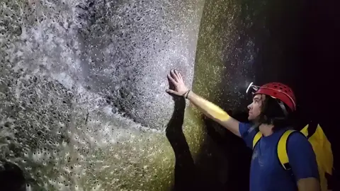 Scientists discovered the world’s largest spiderweb, covering 106 m² in a sulfur cave on the Albania-Greece border. Over 111,000 spiders from two normally rival species live together in a unique, self-sustaining ecosystem—a first of its kind.  #spidercave #spiders 