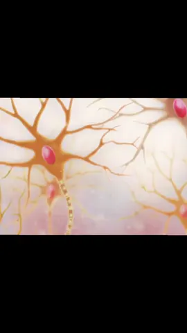 How our neurons communicate #neurons #humans #fyp 