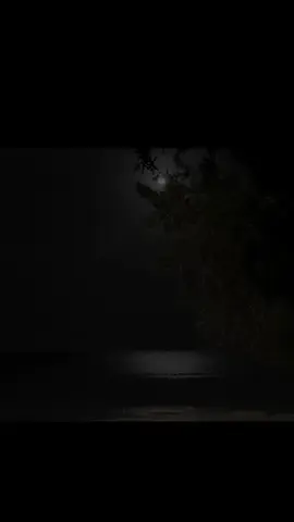 سعد الغامدي | الأحزاب | ٥٦ #اللهم_صلي_على_نبينا_محمد #قران #quran #explore #fyp 