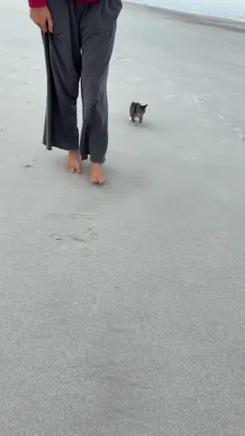 jwow goes to the beach 