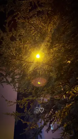 ضاع من عمري كثير #بدون_موسيقي #السعودية #اليمن #شيلات #اكسبلور 