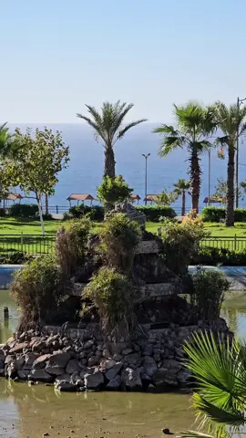 موستالاند #موستالاند✌❤🥰🇩🇿🇵🇸 