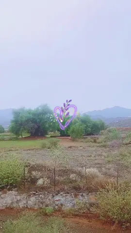 #في هذا اليوم 