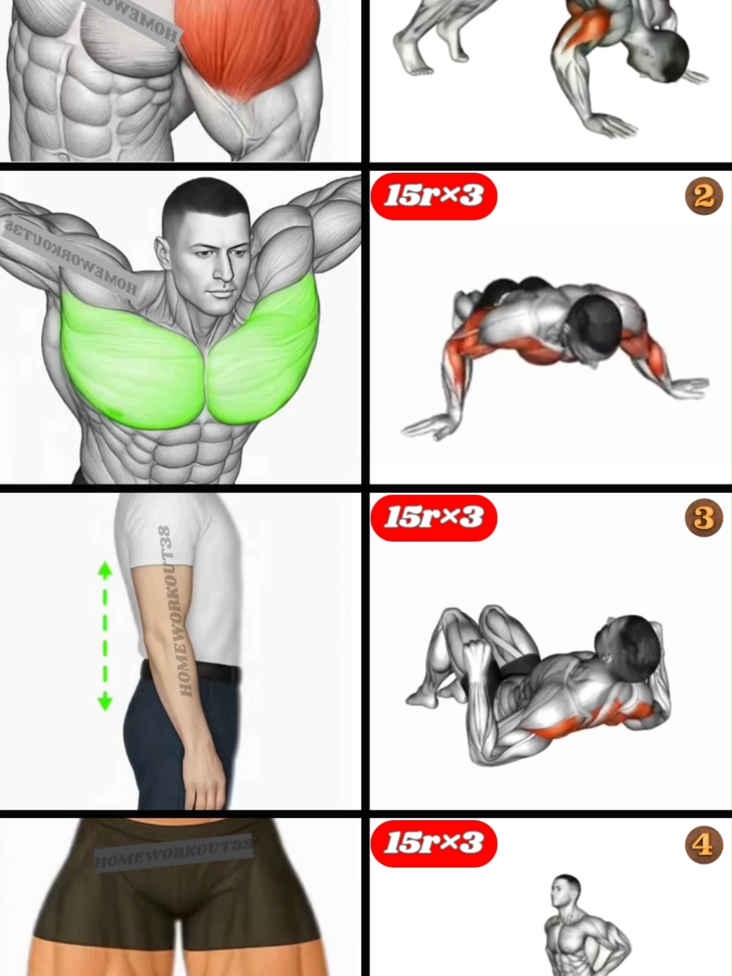 HOME WORKOUT.#GymTok #muscle #exercise #Fitness #workout #workoutroutine #workouttips #fit #fitnesstips #motivation #workoutmotivaton #homeworkout