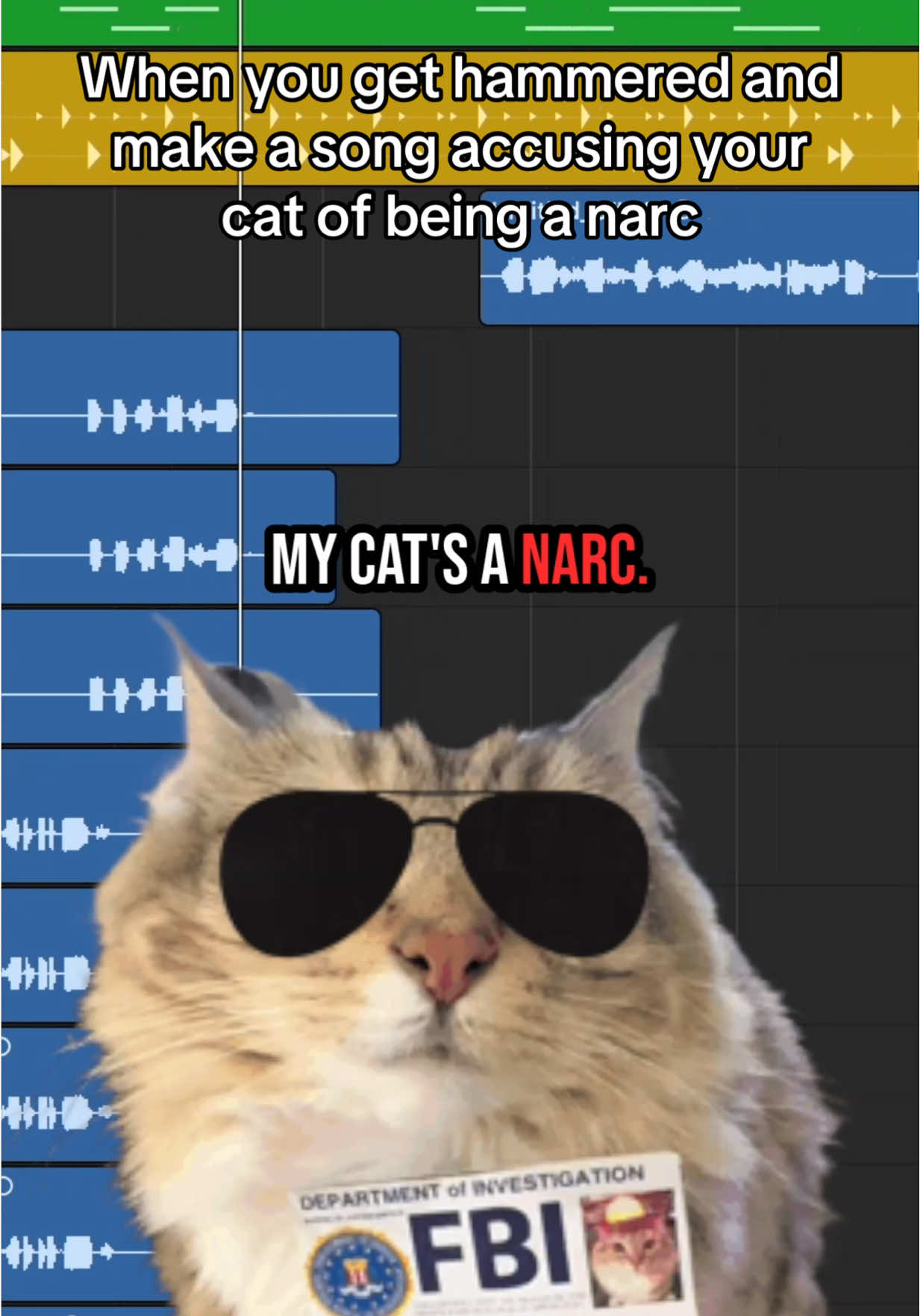 This cat is really sus not gonna lie. #cat #comedysong #satire #cats #rap 