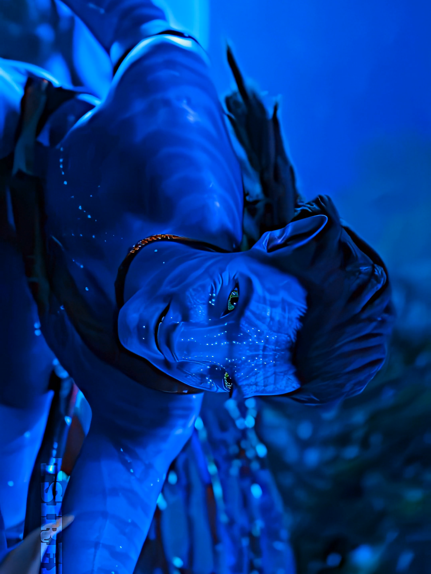 The beauty of Avatar #avatar #avatarthewayofwater #jakesully #avatar2 #foryoupage