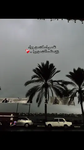 #تصويري📷 #تصويري_احترافي_الاجواء👌🏻🕊😴 #صوره_حيه #foryoupage #instagram 