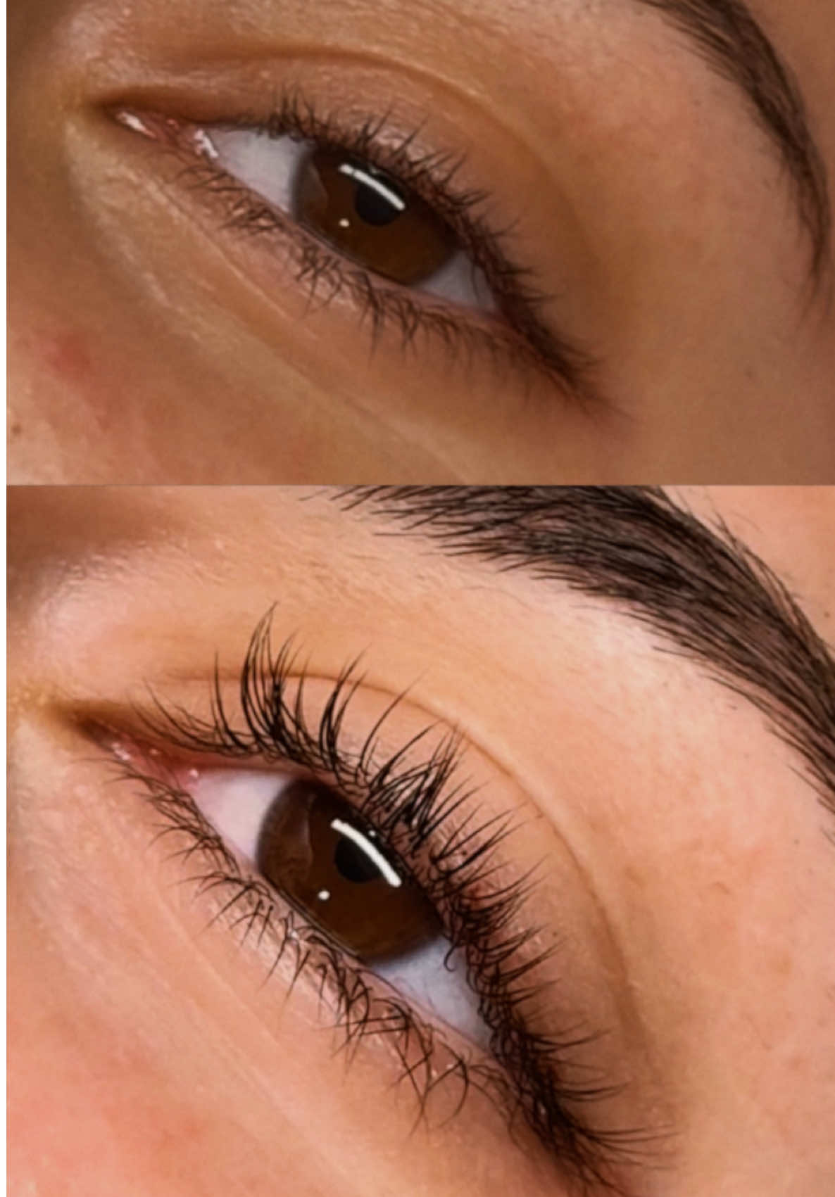 Lash lift + tint 💌 #lashliftandtint #esthetician #estheticiantok #lashlift #fyp 