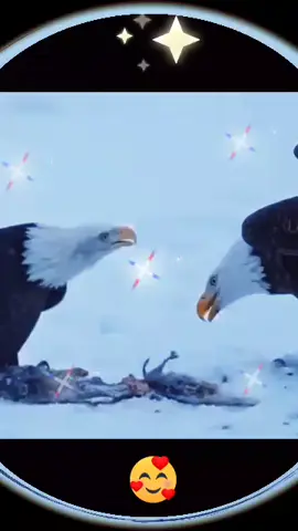 #نصايح من علم النفس🫣🫣♥️🤫💥🌹