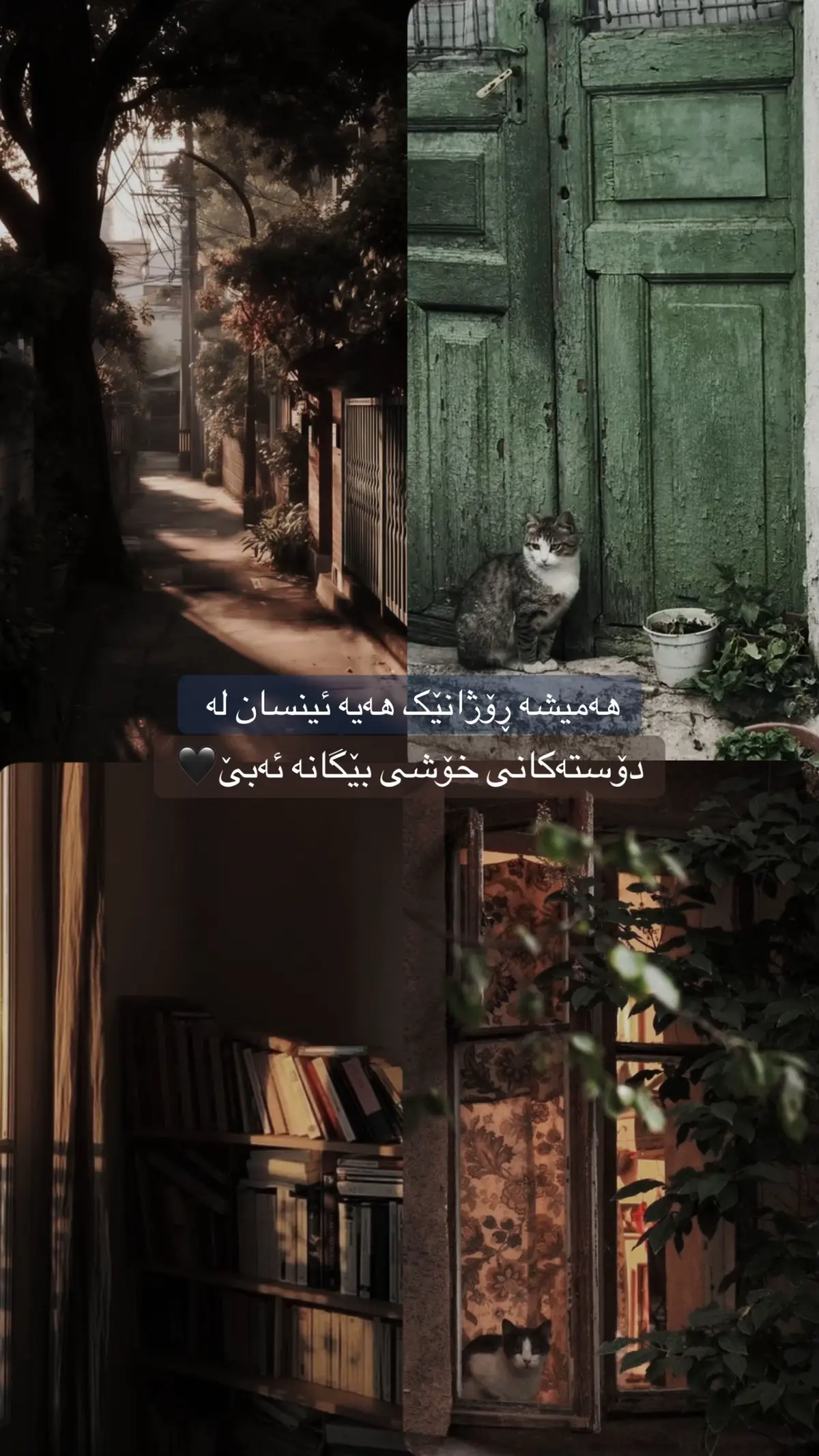 #foryou #foryoupage #viral #actives? #ئەکتیڤبن🥀🖤ـہہـ٨ــہ 