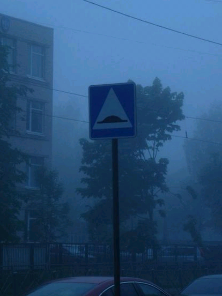 francis forever - mitski. #mitski #songlyrics #fyp #viral #rge 