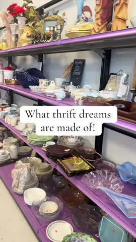 Vintage collectibles of my thrift dreams! Plus proceeds go to support the Alzheimer’s foundation. #thrift #thrifting #myrtlebeach #thriftwithme #vintagecollection 