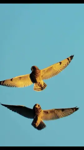 #اللهم_صلي_على_نبينا_محمد @َالمحامي والموثق د/سعود الفايز 