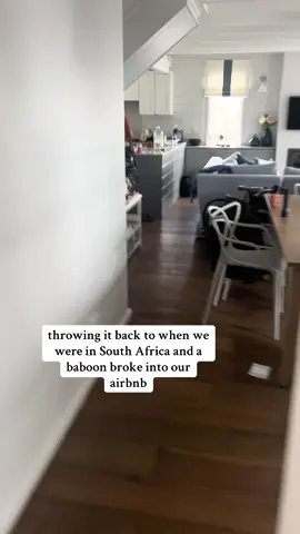 a destination wedding in Cape Town, South Africa and we didn’t know about the baboons…. shoutout to our brother-in-law for taking care of things while we were off shooting a wedding 🤣#weddingphotographer #destinationweddingphotographer 