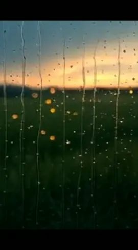 Still Holy Torey D Shaun, Indie Tribe, And Nobigdyl #foryoupage  #indietribe #toreydshaun #stillholy #lyricvideo 