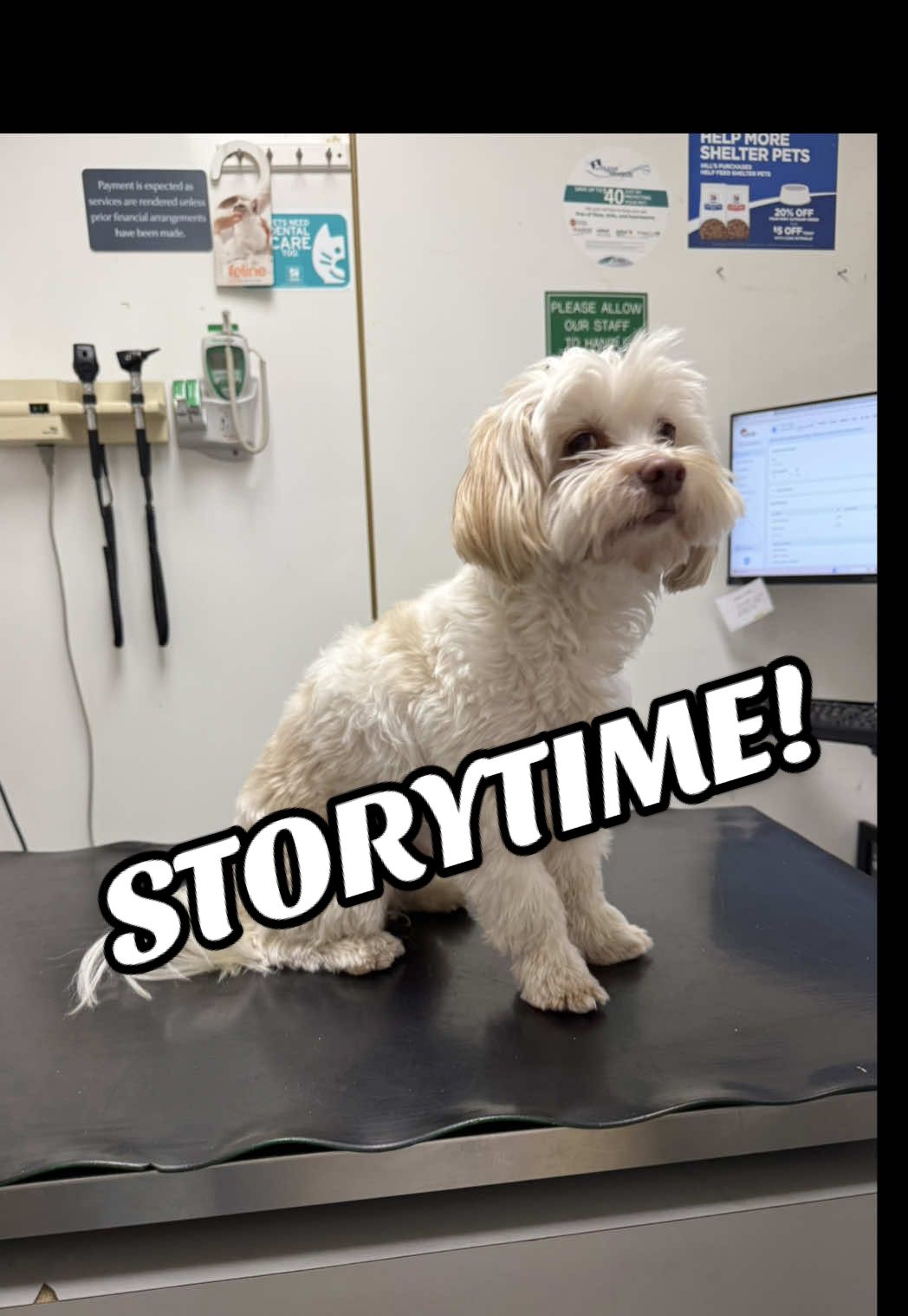 STORYTIME FOR 626 PET OWNERS!  avoid the VCA Animal Hospital on Santa Anita in Monrovia. #fyp #storytime #doglover #veterinarian 