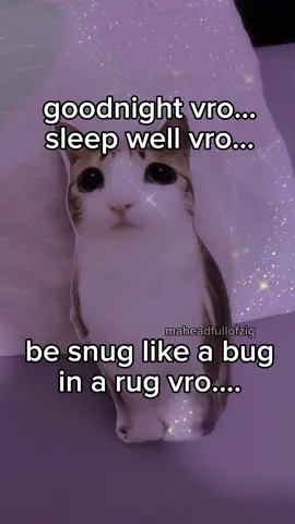 sleep well vro (gta 6 got delayed man what the hell are they doing js give it to me ) #maheadfullofzig #real #relateable #fyp #meme 