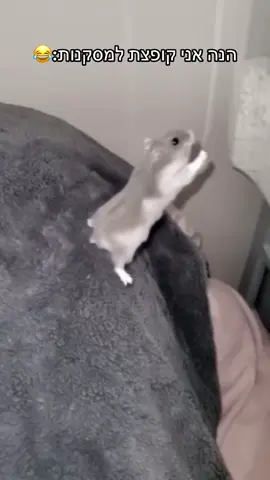 #foryou #foryoupage #viral 