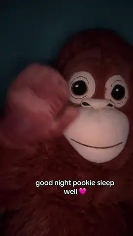 good night pookies 🩷#foryou #pookie #monkey #following 