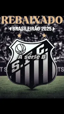 Já pode mandar essa? . . . #palmeiras #santos #serieb #viral #fyp 