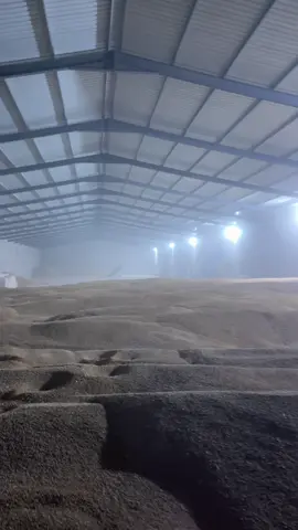 تصكير ملفاااااات✌🏻🔥🔥#المرصص✅🇱🇾#طبرق_ليبيا🇱🇾✈️#عيت_اعبيد🦅🔥#عيت_علي_بوعثمان#الشعب_الصيني_ماله_حل😂😂  