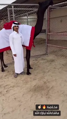 مخلصه الشاص💯#اكسبلور #foryou #explore #fyp #المجاهيم 