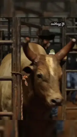 Cowboys.Gb 💥🤠 #brutosebrutasdobrasil #cowboy #rodeio #viral_video #sertanejo 