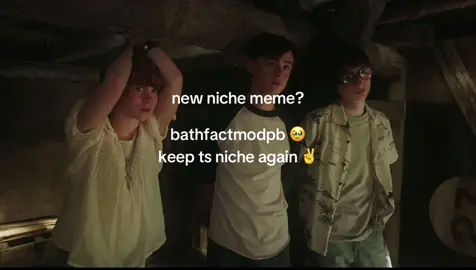 2 new niche memes of the day 🥹 #eddiekaspbrak #it #niche 