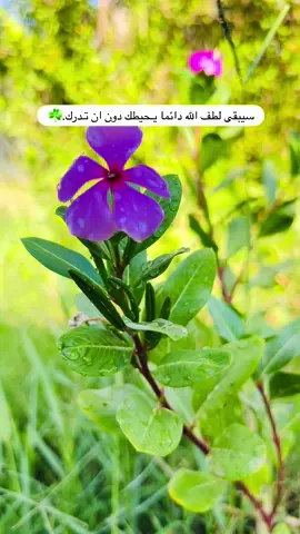 يالله❤️😥 #تصويري #تصويري_احترافي_الاجواء👌🏻🕊😴 #اكسبلورpov #مشاهدات #غيوم 