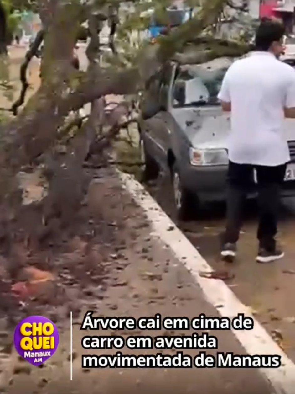 Uma árvore de grande porte caiu e atingiu um carro do modelo Fiat Uno na tarde desta quinta-feira (06), na Avenida Constantino Nery, nas proximidades do Terminal 1, no Centro de Manaus. O acidente, provocado pelas fortes chuvas que atingiram a capital. Não houve feridos no local. De acordo com informações preliminares, o proprietário do carro havia estacionado o veículo e se dirigido a uma autoescola próxima. Minutos depois, a árvore caiu sobre o veículo, destruindo completamente a parte superior do automóvel.