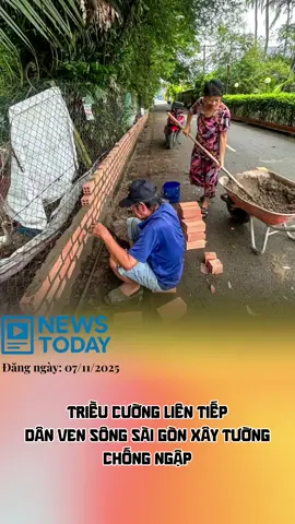 Triều cường liên tiếp, dân ven sông Sài Gòn xây tường chống ngập #tintuc #tiktoknews #foryou #tiktok #sàigòn 
