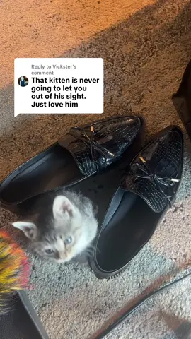 Replying to @Vickster 