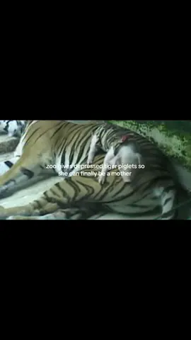 cruel #foryourpagе #fypツ 