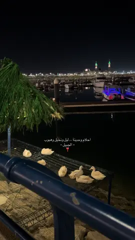 🤍🤍🤍🤍🤍🌴🌴#الجبيل #fyp #بدر_عبدالمحسن #viral #الشرقية @شاهي واشل  