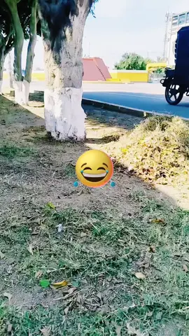 #LIVEIncentiveProgram #LIVECanBeEasy #PaidPartnership 