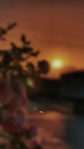 bạn làm cách nào để vượt qua ? #😌🖤 #tramcamxuc #camxucmoingay #timchonbinhyen #motminhcoonkhong #nhacchill #hak #1999 #tramcamxuc2049 