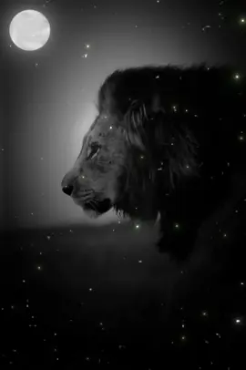 #المنجنيق #بغداد #دبي #طرابلس #فعلمي_امتي_اننا_بعون_الله_ماضون 