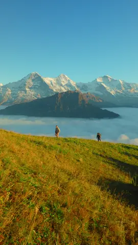 Missed it… or maybe not