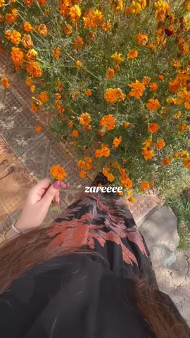 #foryou #pirmam #iran🇮🇷 