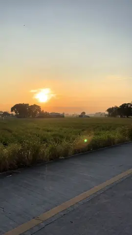 Sunrise🧡.  #fyp #fyppppppppppppppppppppppp #nature #sunrise 